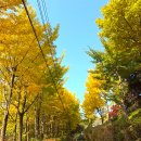 초록산 산림욕장 1 이미지