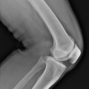 영등포재활의학과의원 이미지