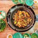 대덕대로317번길 | [20260329] 대전 월평동맛집 춘천집닭갈비 애견동반가능 한밭수목원맛집 점심먹고온 후기