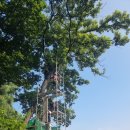 세진종합시설관리