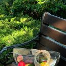 오늘 과일 | 대구 과일바구니 달콤한오늘 프룻백 과일 선물 후기