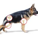 청담동물병원 이미지