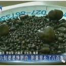 매일고기 이미지