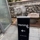 W10. 웨딩촬영 헤어메이크업 ‘요닝’ 민혜선 이사 & 소망 부원장 내돈내산 만족 후기