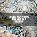 탄금야구장 야구장 | 아이랑 자전거 여행~ 충주 벚꽃 명소 하방마을
