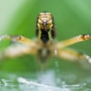 26500-75-01-006 이미지