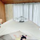 선인장을 부탁해 이미지