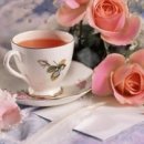 벌교원동 이미지