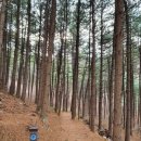 사방경로당 이미지