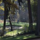 송백리어르신체육시설 파크골프장 이미지