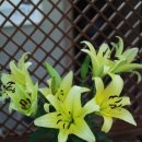 계림한의원 이미지