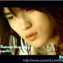 왓에버 Daum카페
