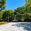 까치공원 조형물 이미지