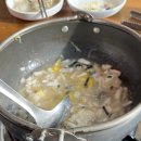 도토리군버섯양 이미지