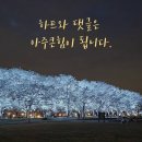 BHC치킨 증평점 이미지