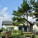 온더스톤펜션&게스트하우스 제주성산점 | 제주 서귀포 가성비 독채 펜션 추천 성산 온더스톤펜션