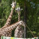 한울마루 이미지