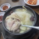 용 | 논현맛집, 용삼계탕 인삼주 친절 끝판왕 후기