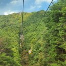 팔공산케이블카 이미지