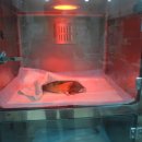 아쿠아 종합동물병원 이미지