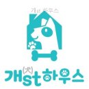 개ST하우스 | 개st 하우스 선택 전 확인할 필수 정보