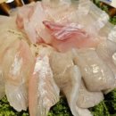 대풍회초밥 | 대풍 스시맛집 강서구청 맛집 내돈내산 후기