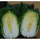 만호농장 이미지