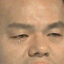 섬안애 이미지