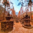 11월22일 국내 여행 버킷리스트를 바꿀 특별한 공간 한국의 앙코르와트여기 어때요 이국적인 몽환적인풍경 출사 이미지