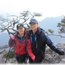 산계촌 Daum카페