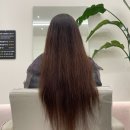 107 헤어 | 광교 미용실 두피클리닉 헤드스파와 허쉬컷 후기 헤어센트럴107