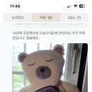 파타고니아 힙색 색좀골라주라ㅠ 이미지