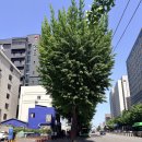 [이대 사주] 사주카페큐 종합사주 가격 및 솔직 후기