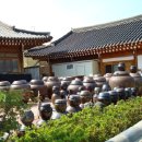 순창토종매실 이미지