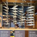 과메기문화관 화장실 이미지