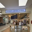 골든오토 | 인천 연수구 카페 | 매머드커피 "골든코코넛라떼", 3가지 사이즈 존재, 가성비 끝판왕 내돈내산 후기