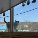 푸짐한한정식밥상 | 파주 한식 맛집 가림시골밥상 다녀온 후기 (푸짐한 한정식 느낌)