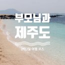 (주)성산렌트카 | 부모님과 제주도 여행 2박3일 일정 / 중문, 서귀포, 성산, 우도 코스, 여행일정표 공유