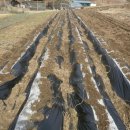 안터사슴농장 이미지