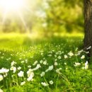 소소한날 이미지