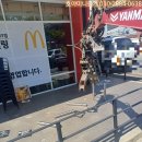 제일미니중기 이미지