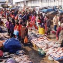 자갈치와 어머니 이미지