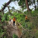 서천소방서-55 이미지