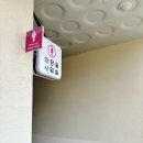 울산 언양 등억알프스 야영장 곤충 카라반, 물놀이