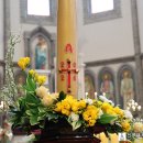 천주교 서울대교구 Archdiocese of Seoul /주님 부활 대축일 (4일 파스카 성야. 5일 낮미사) 이미지