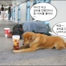 소리징 이미지