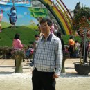 함평 나비 축제를 다녀와서,,,, 이미지