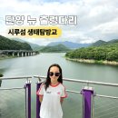 국내 최장급 보행교 충북 단양 시루섬 생태탐방교 출렁다리 방문 후기