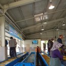 거제활어 이미지