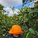 문기농장 이미지